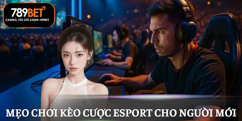 keo-cuoc-esports-meo-choi