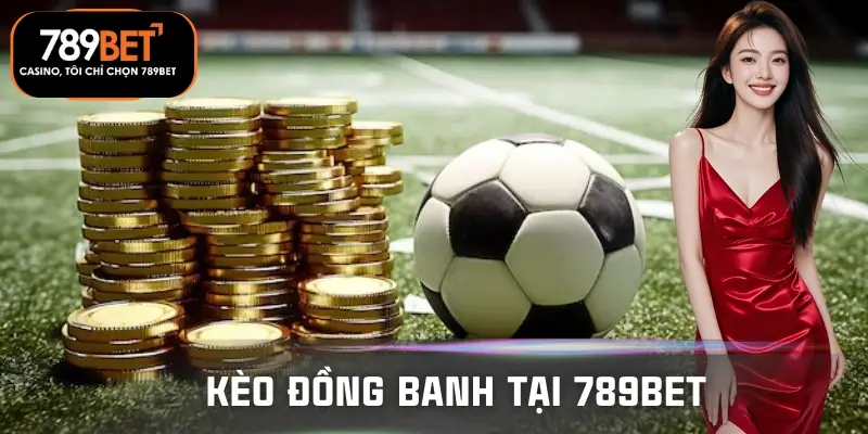 keo-dong-banh-tai-789bet
