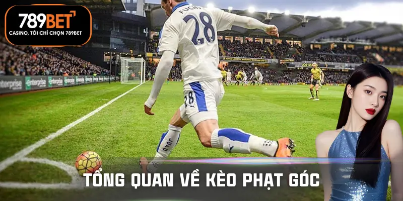 keo-phat-goc-suc-hut