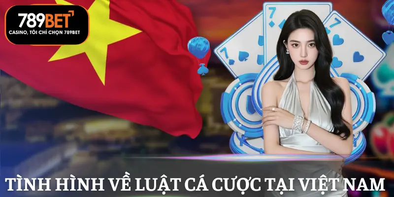 luat-ca-cuoc-viet-nam-tinh-hinh