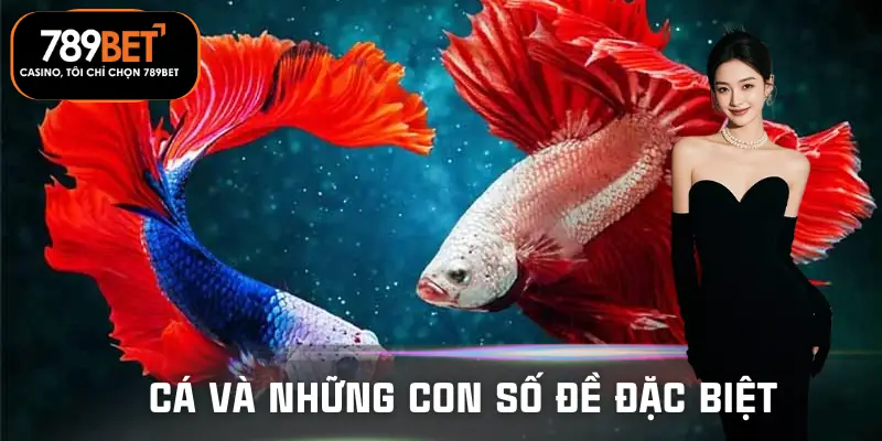 mo-thay-ca-danh-so-gi-tai-789bet-con-so-dac-biet