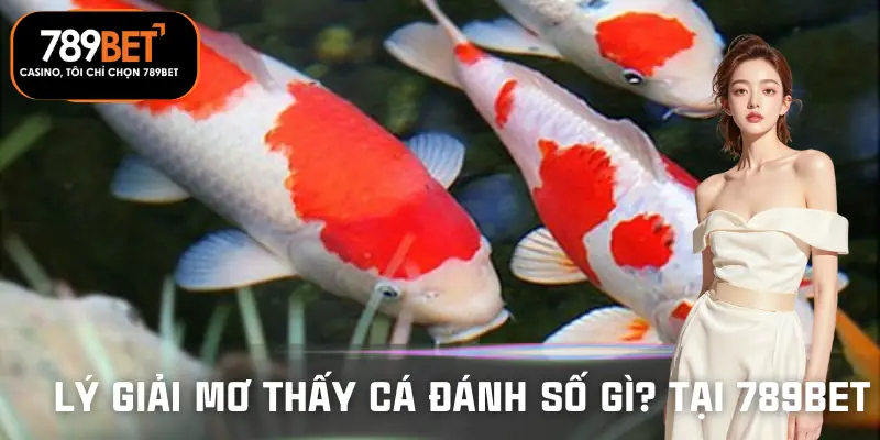 mo-thay-ca-danh-so-gi-tai-789bet-ly-giai