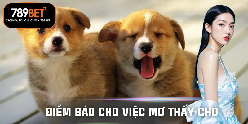 mo-thay-cho-danh-so-gi-tai-789bet-diem-bao