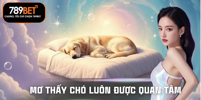 mo-thay-cho-danh-so-gi-tai-789bet-gioi-thieu