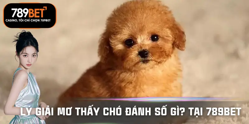 mo-thay-cho-danh-so-gi-tai-789bet-ly-giai