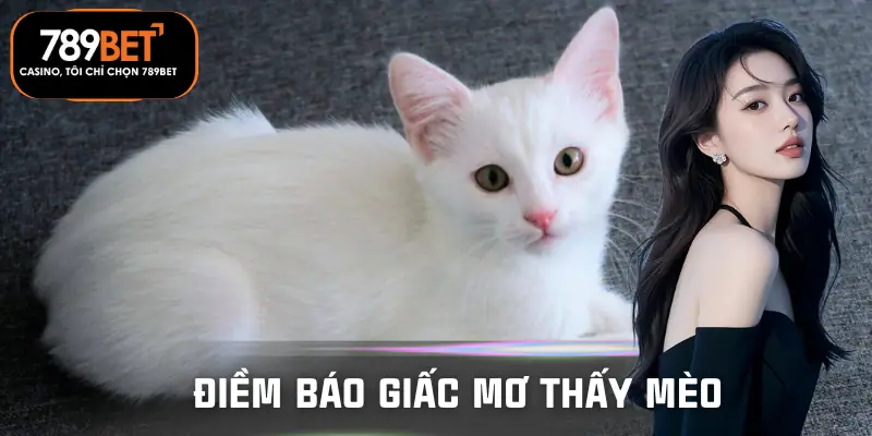 mo-thay-meo-danh-so-gi-tai-789bet-diem-bao