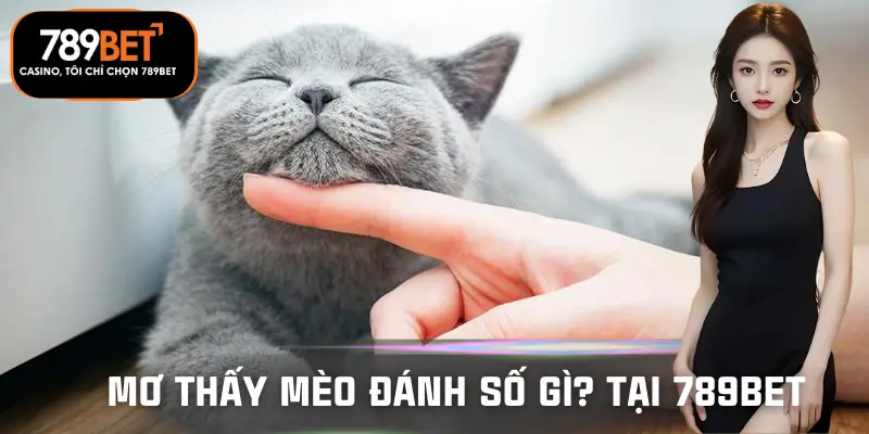 mo-thay-meo-danh-so-gi-tai-789bet