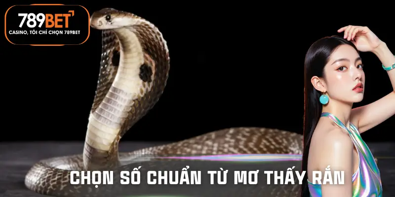 mo-thay-ran-danh-so-gi-tai-789bet-cach-chon-so