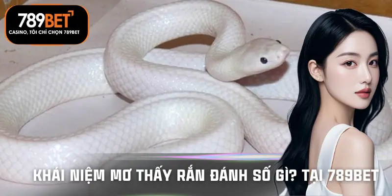 mo-thay-ran-danh-so-gi-tai-789bet-khai-niem