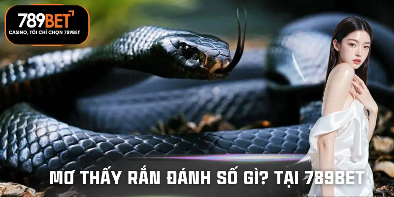 mo-thay-ran-danh-so-gi-tai-789bet