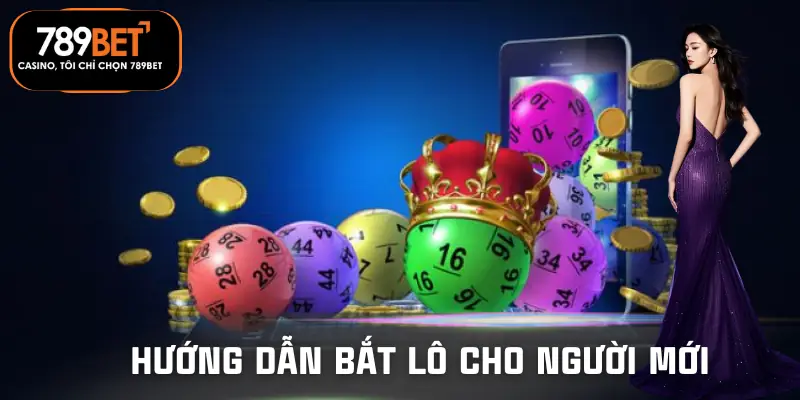 soi-cau-xo-so-huong-dan-nguoi-moi